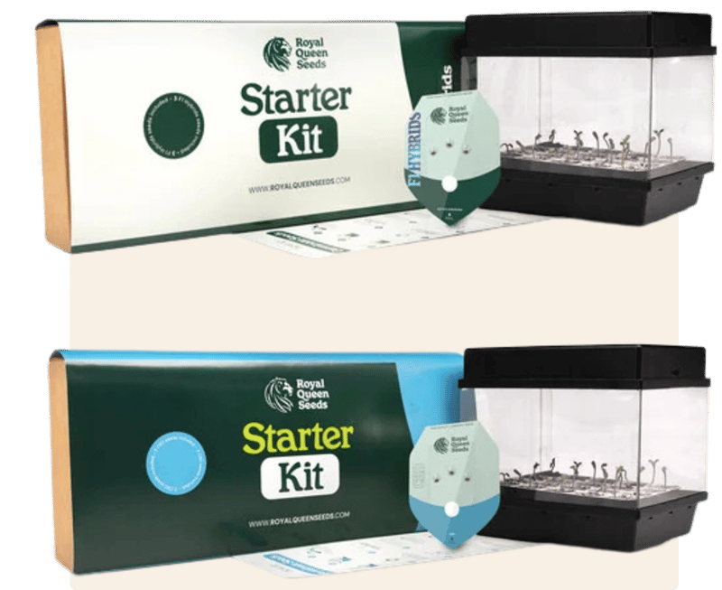 Starter Kits EMAIL-2